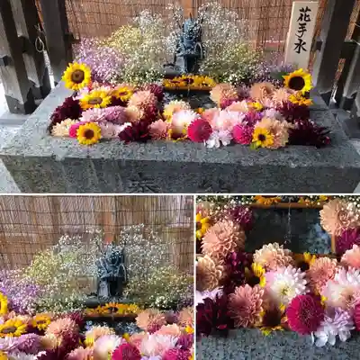 札幌諏訪神社の手水舎