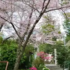 天宮神社の自然