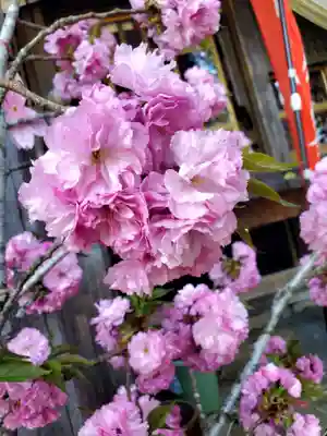 高司神社〜むすびの神の鎮まる社〜(福島県)