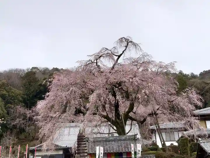 林陽寺(岐阜県)