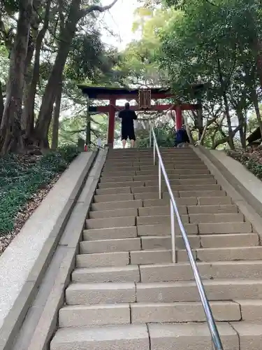 氷川女體神社の鳥居