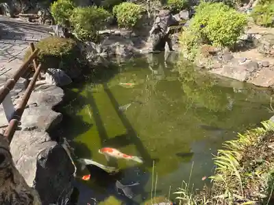 慈眼寺(大阪府)