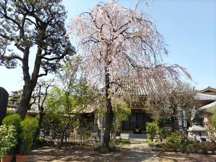 福泉寺(東京都)