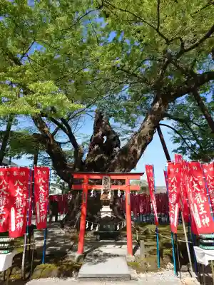 秩父今宮神社の{uncategorized: "未分類", other: "その他", undefined: "問題あり", building: "その他建物", grave: "お墓", sacred_gate: "鳥居", guardian: "狛犬", statue: "像", buddha: "仏像", history: "歴史", nature: "自然", garden: "庭園", animal: "動物", pagoda: "塔", temizu: "手水舎", mountain_gate: "山門・神門", sanctuary: "本殿・本堂", subordinate: "末社・摂社", art: "芸術", scenery: "景色", jizo: "地蔵", ema: "絵馬", goshuin: "御朱印", omikuji: "おみくじ", items: "授与品その他", amulet: "お守り", goshuincho: "御朱印帳", eats: "食事", festival: "お祭り", votive_dance: "神楽", shichigosan: "七五三参", wedding: "結婚式", experience: "体験その他", initially: "初詣", around: "周辺", anti_infection: "感染症対策"}