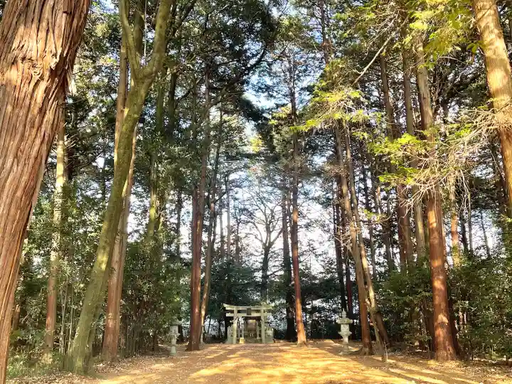槌之神神社(滋賀県)
