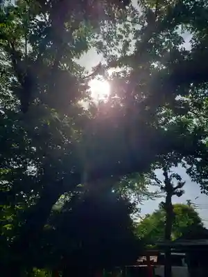 本郷氷川神社(東京都)