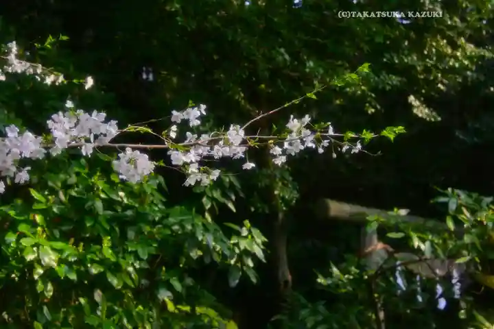 伊勢山皇大神宮(神奈川県)
