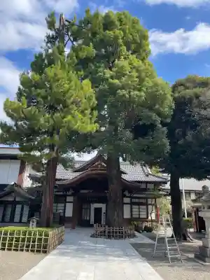 大國魂神社(東京都)