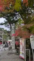 出雲大神宮(京都府)