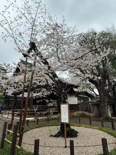靖國神社(東京都)