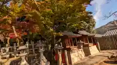 竹中稲荷神社（吉田神社末社）(京都府)