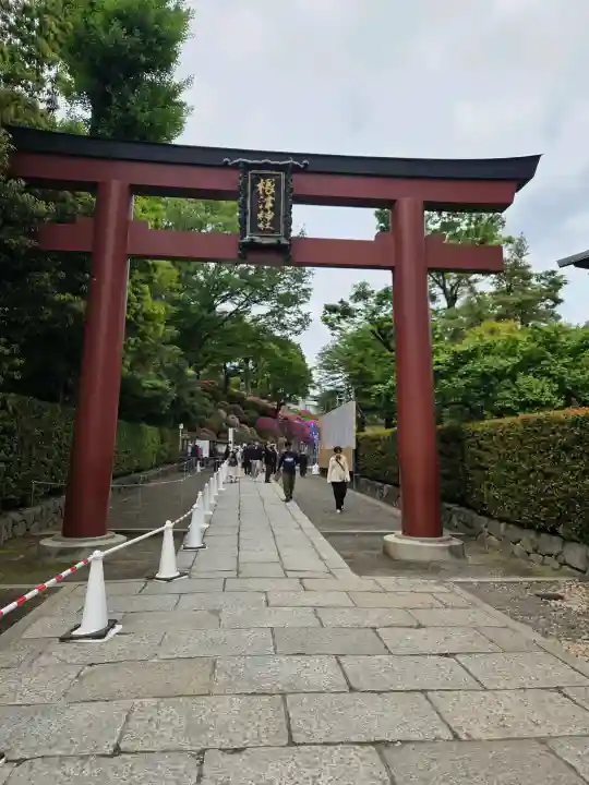根津神社の{uncategorized: "未分類", other: "その他", undefined: "問題あり", building: "その他建物", grave: "お墓", sacred_gate: "鳥居", guardian: "狛犬", statue: "像", buddha: "仏像", history: "歴史", nature: "自然", garden: "庭園", animal: "動物", pagoda: "塔", temizu: "手水舎", mountain_gate: "山門・神門", sanctuary: "本殿・本堂", subordinate: "末社・摂社", art: "芸術", scenery: "景色", jizo: "地蔵", ema: "絵馬", goshuin: "御朱印", omikuji: "おみくじ", items: "授与品その他", amulet: "お守り", goshuincho: "御朱印帳", eats: "食事", festival: "お祭り", votive_dance: "神楽", shichigosan: "七五三参", wedding: "結婚式", experience: "体験その他", initially: "初詣", around: "周辺", anti_infection: "感染症対策"}
