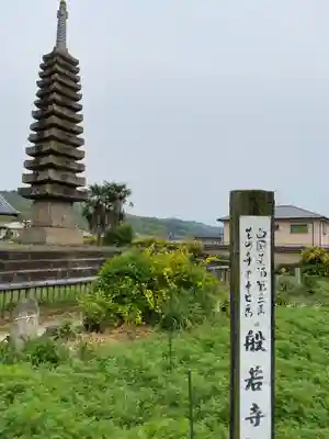 般若寺 ❁﻿コスモス寺❁(奈良県)