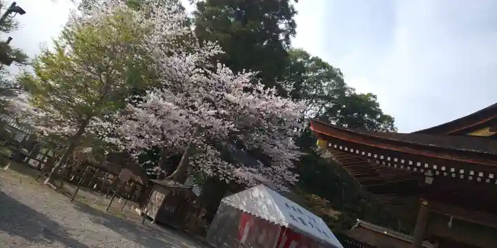 出雲大神宮のその他建物