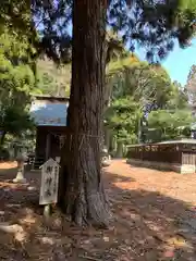 瀧神社(茨城県)