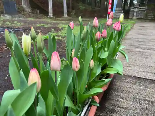 大宮温泉神社の自然