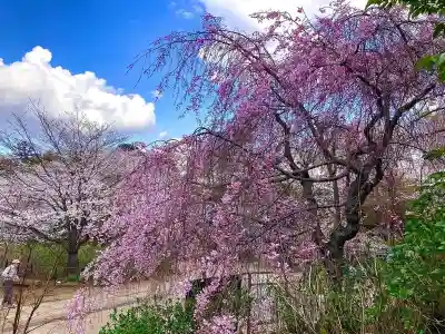 本土寺(千葉県)