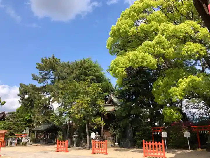 荒井神社(兵庫県)