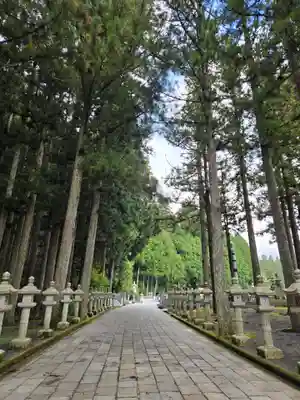 高野山金剛峯寺奥の院(和歌山県)
