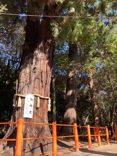 息栖神社の自然