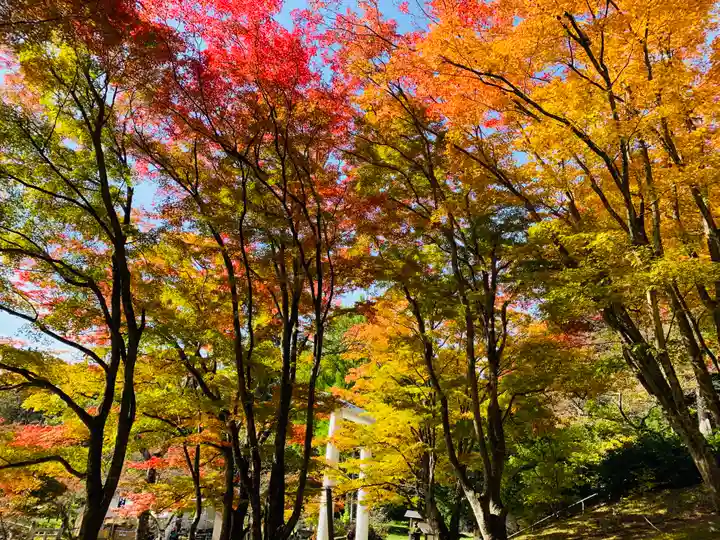 土津神社|こどもと出世の神さまの景色