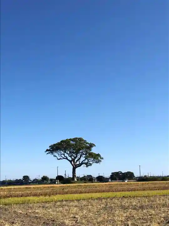 大木神社跡地の景色