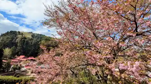 金蛇水神社(宮城県)