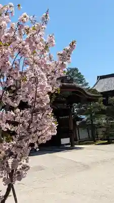 仁和寺(京都府)