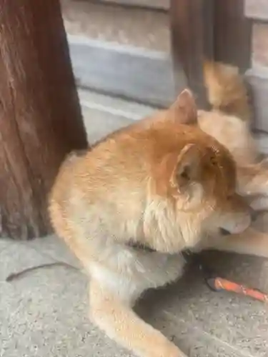 感通寺(東京都)
