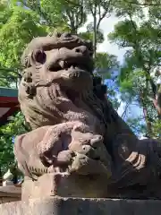 多摩川浅間神社の狛犬