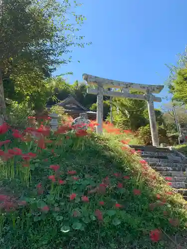 八幡神社の鳥居