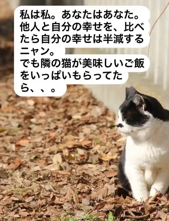 専念寺(大阪府)