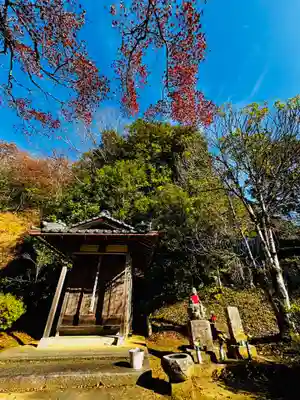 安国寺(京都府)