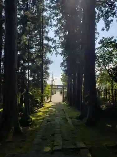 春日神社の建物その他