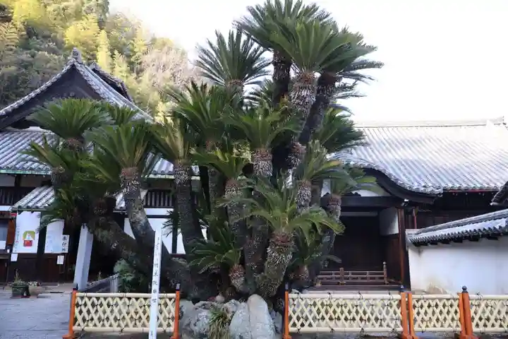 明王院(広島県)