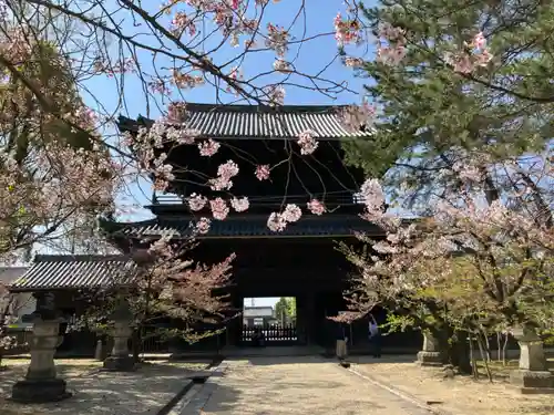 大樹寺（松安院大樹寺）の山門・神門