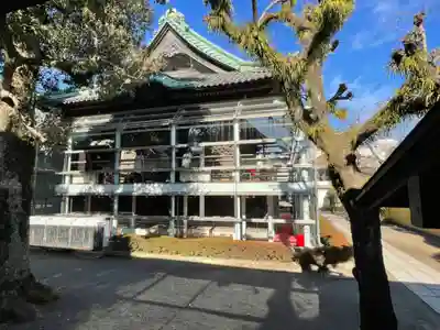 本堂は彫刻保護のためにガラス張り囲いされています。