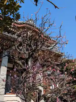 金藏院(神奈川県)