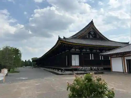 蓮華王院（三十三間堂）(京都府)