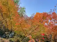 鍬山神社の自然