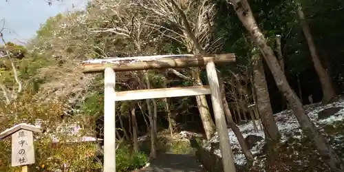 出雲大神宮の鳥居