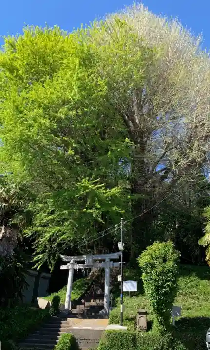 水神社(東京都)