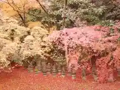 実相院門跡(京都府)