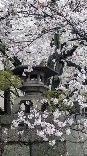 天孫神社(滋賀県)