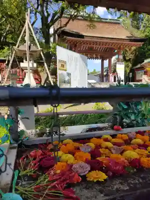 津島神社の手水舎