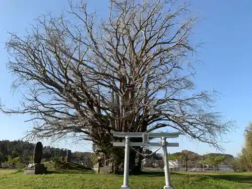 三峯神社の自然