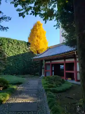 長仙寺のその他建物