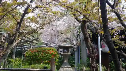 雨宝院の塔