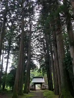 普門寺の{uncategorized: "未分類", other: "その他", undefined: "問題あり", building: "その他建物", grave: "お墓", sacred_gate: "鳥居", guardian: "狛犬", statue: "像", buddha: "仏像", history: "歴史", nature: "自然", garden: "庭園", animal: "動物", pagoda: "塔", temizu: "手水舎", mountain_gate: "山門・神門", sanctuary: "本殿・本堂", subordinate: "末社・摂社", art: "芸術", scenery: "景色", jizo: "地蔵", ema: "絵馬", goshuin: "御朱印", omikuji: "おみくじ", items: "授与品その他", amulet: "お守り", goshuincho: "御朱印帳", eats: "食事", festival: "お祭り", votive_dance: "神楽", shichigosan: "七五三参", wedding: "結婚式", experience: "体験その他", initially: "初詣", around: "周辺", anti_infection: "感染症対策"}