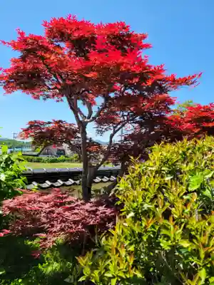 如意山長楽寺(兵庫県)
